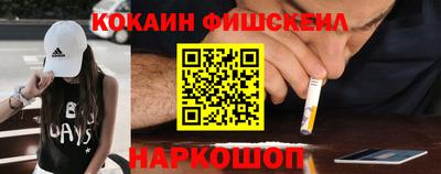 мдпв Камышлов