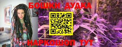 мдпв Камышлов