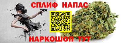 мдпв Камышлов