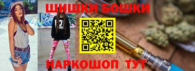 мдпв Камышлов