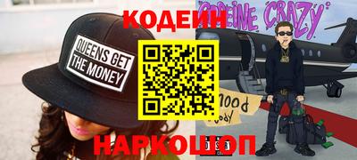 мдпв Камышлов