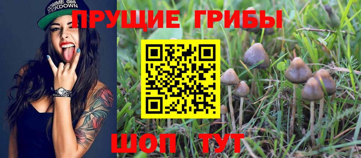 Псилоцибиновые грибы ЛСД Ефремов