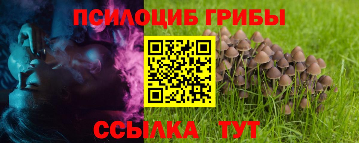 Псилоцибиновые грибы Cubensis  Вход с VPN  Ефремов 